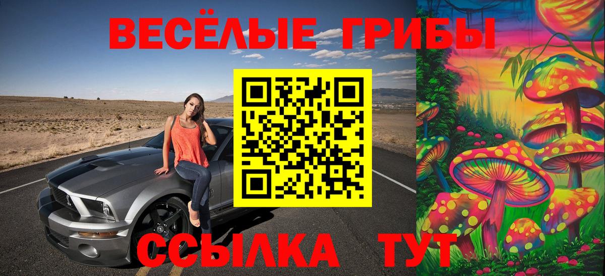 Галлюциногенные грибы GOLDEN TEACHER Сегежа