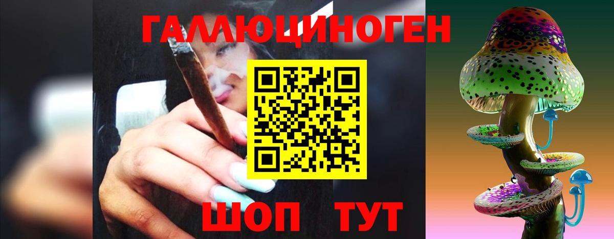 Галлюциногенные грибы MAGIC MUSHROOMS  Псилоцибиновые грибы мицелий  цена наркотик  Вход с VPN  Сегежа 